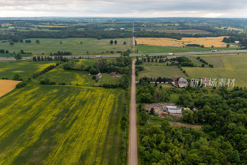 鸟瞰油菜籽田和乡村道路，Bradford West Gwillimbury，加拿大